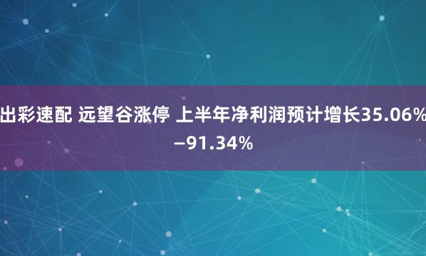 出彩速配 远望谷涨停 上半年净利润预计增长35.06%—91.34%